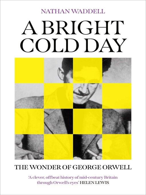 Cover image for A Bright Cold Day